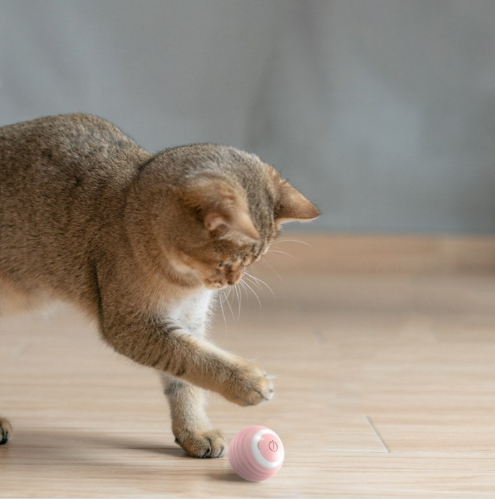 VIBIBALL - Katzenspielzeug